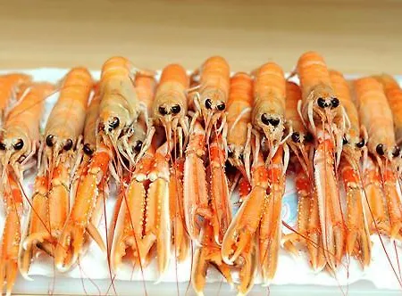 Les Cedres, Les Oceanes Apartment *