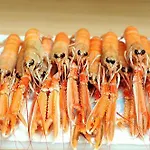 Les Cedres, Les Oceanes 아파트 *