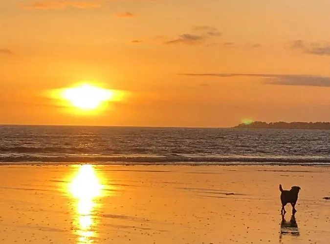 Апартаменты Les Cedres, Les Oceanes