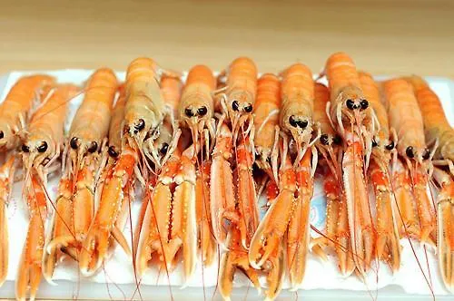 Les Cedres, Les Oceanes Апартаменты *