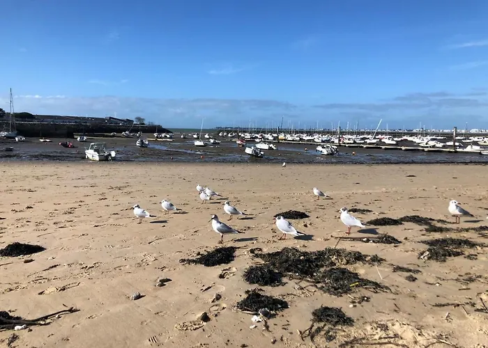 Les Cedres, Les Oceanes * 波尔尼谢